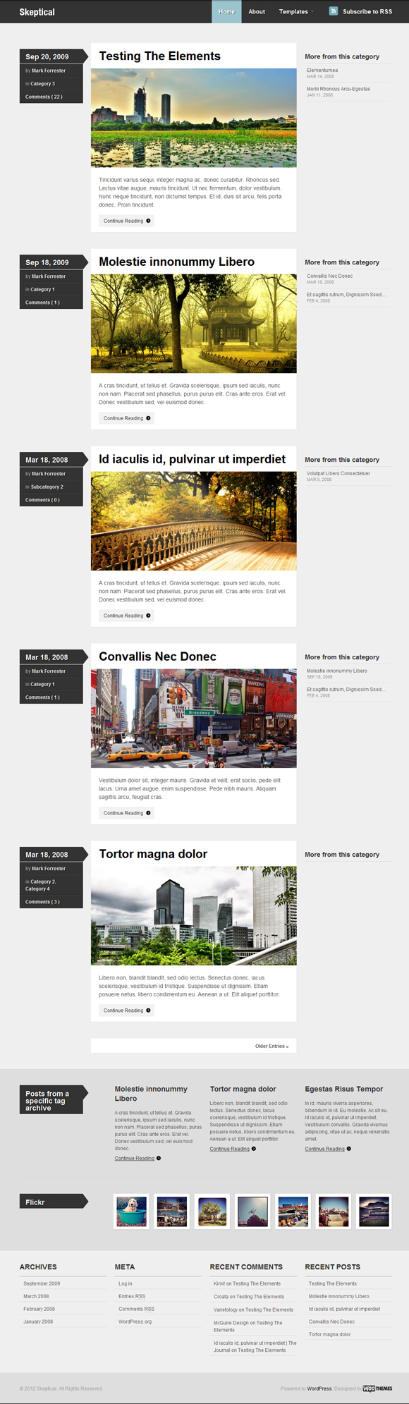 skeptical wp theme Skeptical – Free WordPress Themes