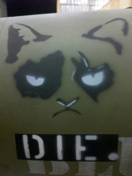 small the grumpy cat bomb21 The Grumpy Cat bomb