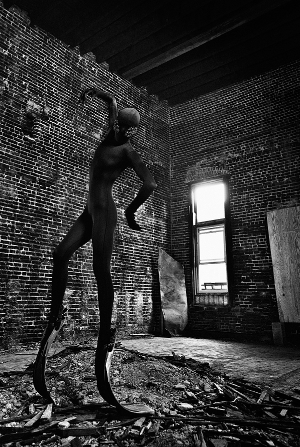 Metamorphosis by Twisted Lamb 003 metamorphosis twisted lamb Metamorphosis by Twisted Lamb