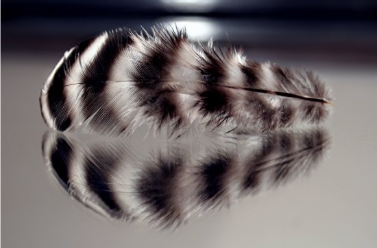 032533lA1 30+ Amazing Reflection Photography