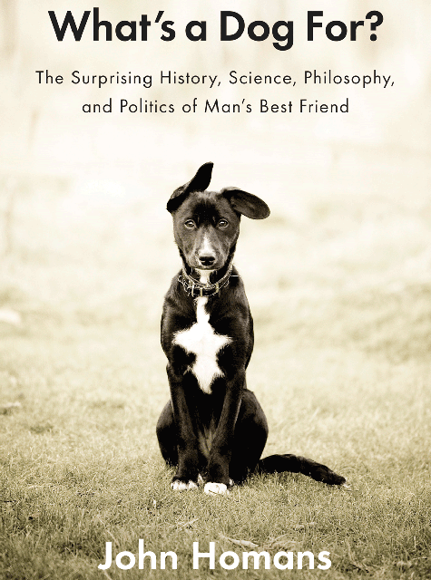 247052818584705931 34071c3f9f3611 What’s a Dog For?