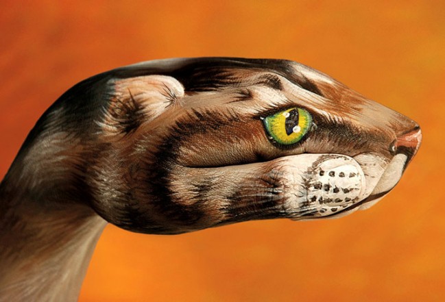 Amazing series of animal hand paintings by Italian artist Guido Daniele. 263 Amazing series of animal hand paintings by Italian artist Guido Daniele.