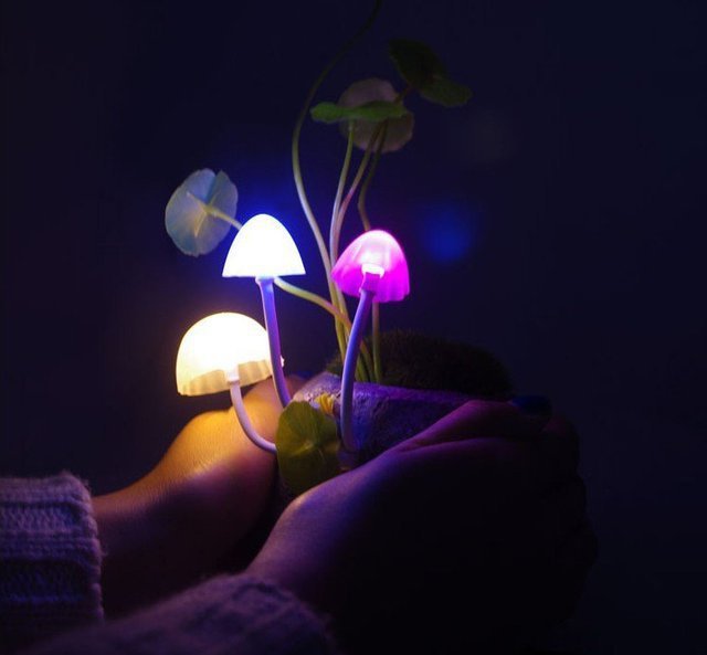 LED Avatar Mushroom Lamp LED Avatar Mushroom Lamp