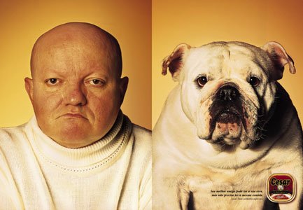 12 Dogs Look Like Their Bosses 4ah5422ju 12 Dogs Look Like Their Bosses