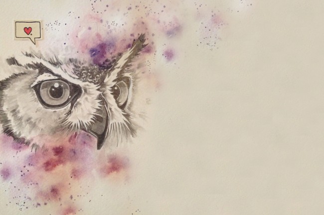 90 Owl by Virginia Poltrack tablet android 650x433 dsktps.com   90: Owl