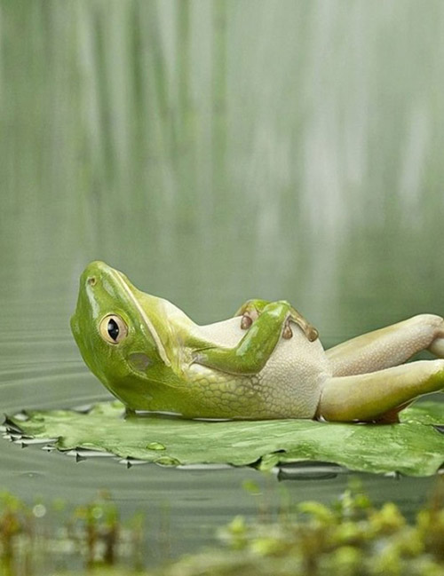 Chillin’ thinkin’ bout life and stuff. Chillin thinkin bout life and stuff Chillin’ thinkin’ bout life and stuff.