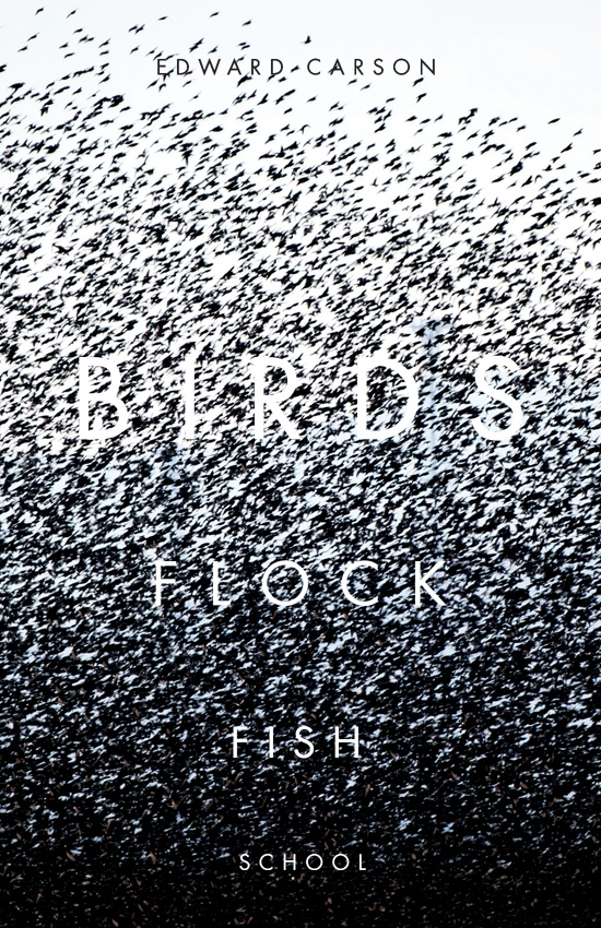 David Drummond cover bloggokin 3 The book cover of David Drummond