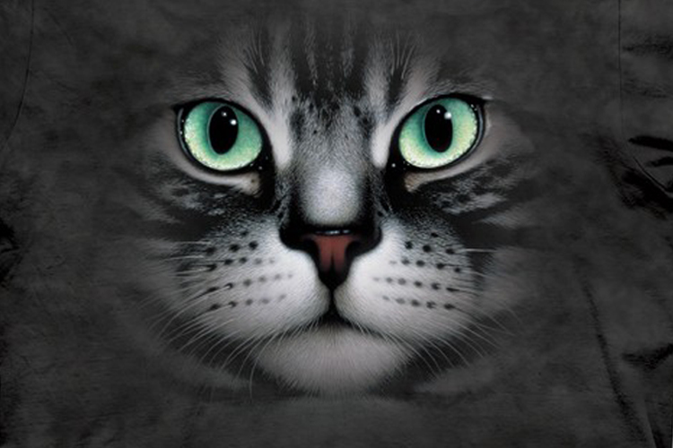 Emerald Eyes t shirt design from the mountain Emerald Eyes t shirt design from the mountain main image 2 Emerald Eyes t shirt design from the mountain