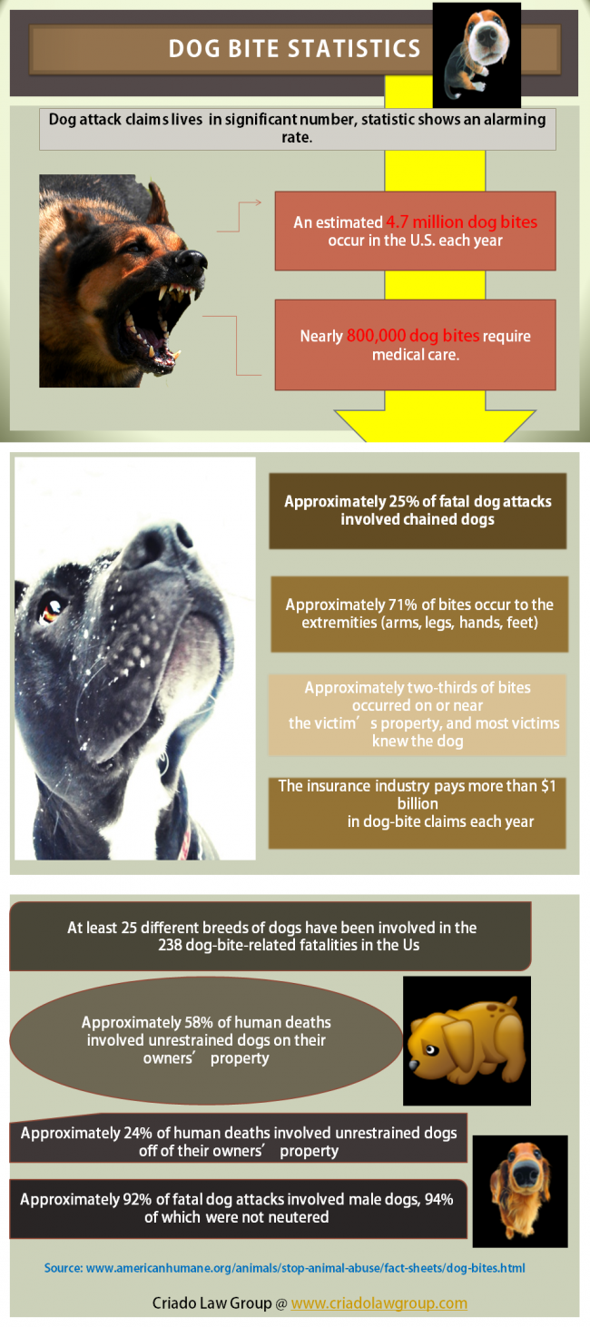 Dog Bite Statistics Infographic Dog Bite 650x1462 Dog Bite Statistics