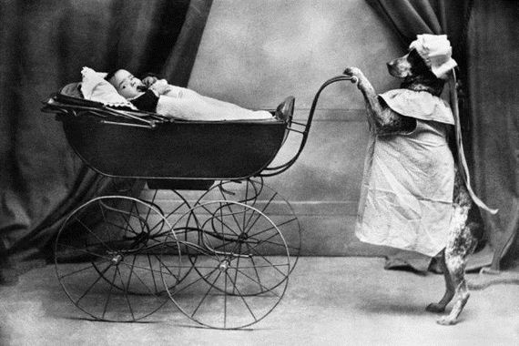 Interesting Old Photographs Interesting Old Photographs 1 Interesting Old Photographs