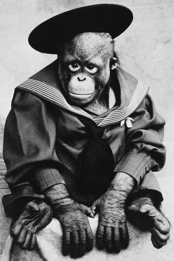 Interesting Old Photographs Interesting Old Photographs 24 Interesting Old Photographs