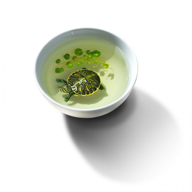 Incredible 3d Animals Illustrated Using Acrylic Paint and Resin Keng Lye 9 650x650 Incredible 3d Animals Illustrated Using Acrylic Paint and Resin
