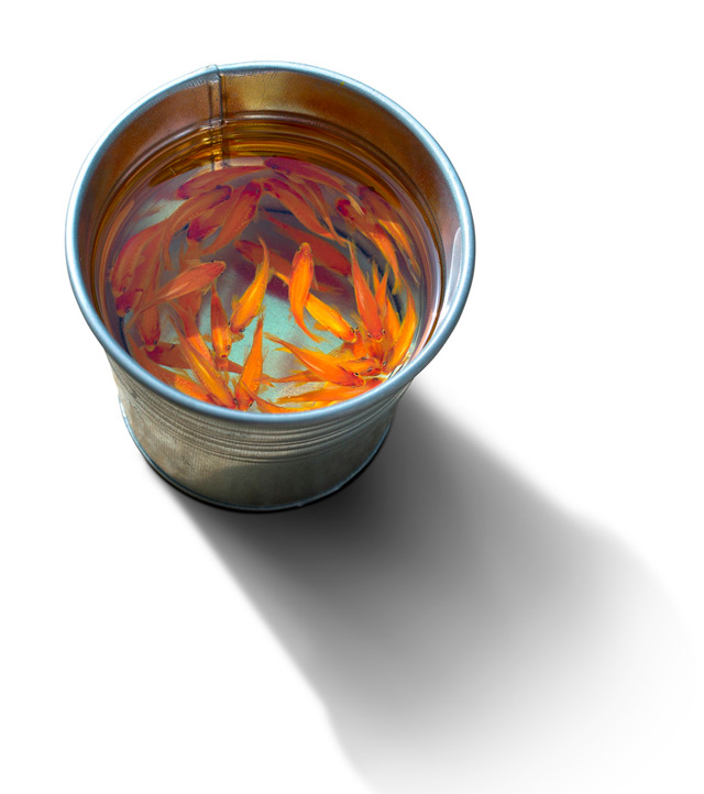 Near Life Like 3D Paintings 8 Alive Without Breath: 3D Paintings of Animals in Resin by Keng Lye