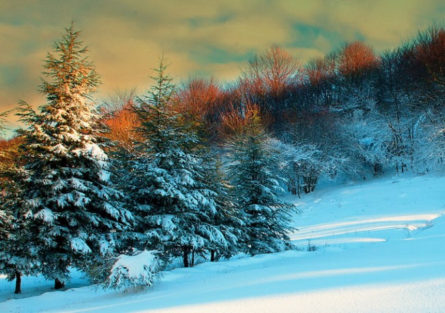 StefanoCrea10 650x457 Landscapes by Stefano Crea 