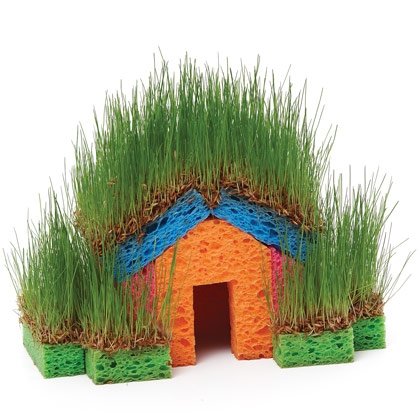 7 Quirky Indoor Grass Gardens Tutorial af727gh773 7 Quirky Indoor Grass Gardens Tutorial