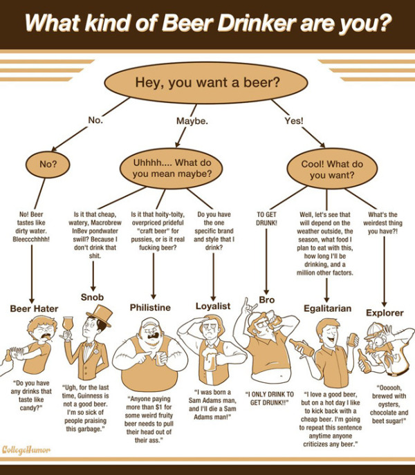 bdrink  What Kind of Beer Drinker are You? [Flowchart]