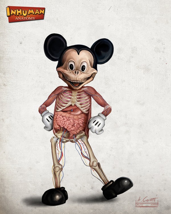 cont Anatomy of Popular Disney Characters by Alessandro Conti