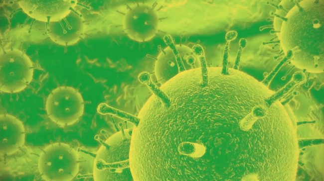 Are You Infected with the Good Virus? gv screen 6 650x364 Are You Infected with the Good Virus?