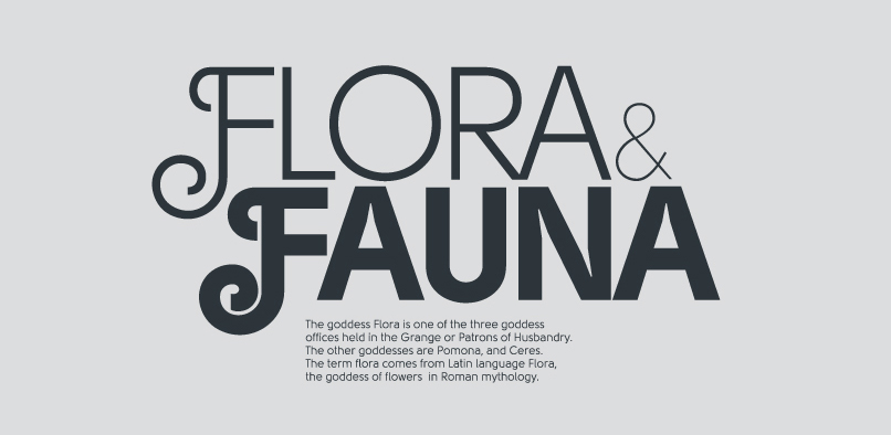 97% OFF SOLOMON TYPE FAMILY hft342 solomon font prod1 97% OFF SOLOMON TYPE FAMILY