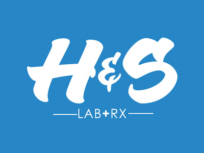 Examples of Beautiful Typography in Logo Design hs typography logo Examples of Beautiful Typography in Logo Design