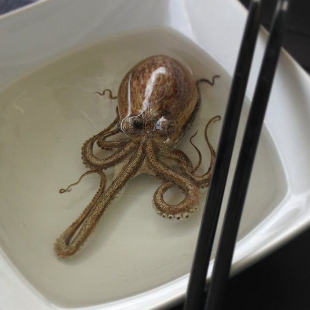 ken 2 Realistic 3D Paintings Of Aquatic Life by Kenglye 