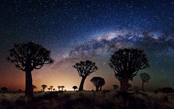 milky way over quiver tree forest1 20 Fascinating Space Photographs