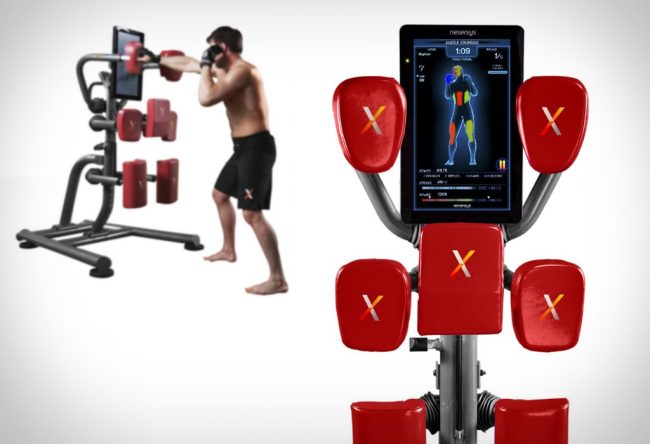 Nexersys Boxing Unit nexersys boxing unit large 650x444 Nexersys Boxing Unit
