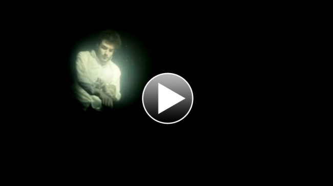 Nicolas Jaar Noise nicolas jaar noise 650x364 Nicolas Jaar Noise
