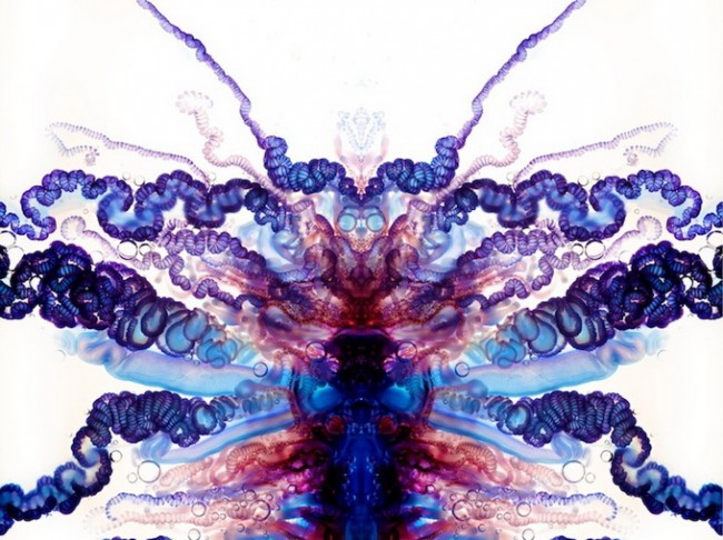 owar  02 650x486 Jellyfish Art by Aaron Ansarov
