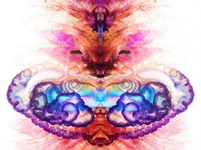 owar  03 650x484 Jellyfish Art by Aaron Ansarov