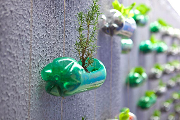 Recycled Bottles Make Fine Urban Garden recycled bottles make fine urban garden 6 Recycled Bottles Make Fine Urban Garden
