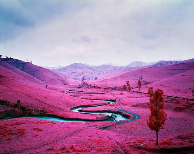 Pink Color Eastern Congo richard mosse 01v2 copy 650x515 Pink Color Eastern Congo