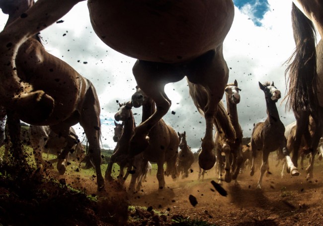 the power of the criollo 650x455 The 2013 National Geographic Traveler Photo Contest
