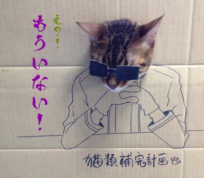 Cardboard Funny Kitty Cosplay toshiya86guagua5 Cardboard Funny Kitty Cosplay