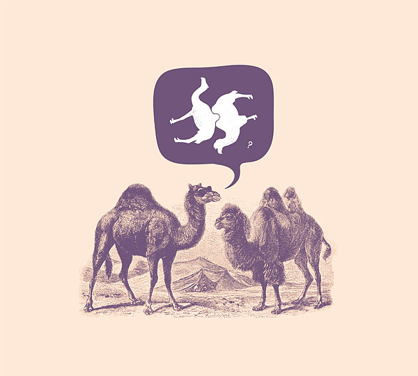 Jacques Maes Illustration by Jacques & Lise 001 jacques maes illustration jacques lise Jacques Maes Illustration by Jacques & Lise