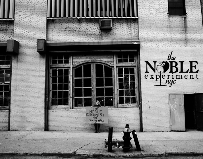 The Noble Experiment 001 The Noble Experiment