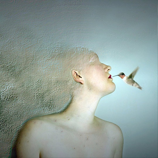 Photo Manipulations by Pedro Luis Palencia 002 photo manipulations pedro luis palencia Photo Manipulations by Pedro Luis Palencia