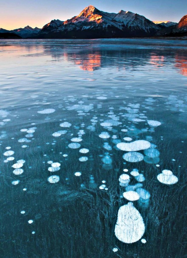 STUNNING FROZEN AIR BUBBLES AT ABRAHAM LAKE, CANADA 1135 STUNNING FROZEN AIR BUBBLES AT ABRAHAM LAKE, CANADA