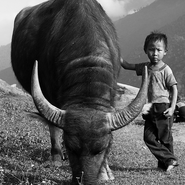 Portraits from Asia by radiopinkfloyd. 1162 Portraits from Asia by radiopinkfloyd.