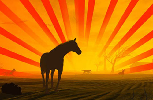 20 Free Sunburst Brushes For Photoshop 15.photoshop sunburst brushes 20 Free Sunburst Brushes For Photoshop