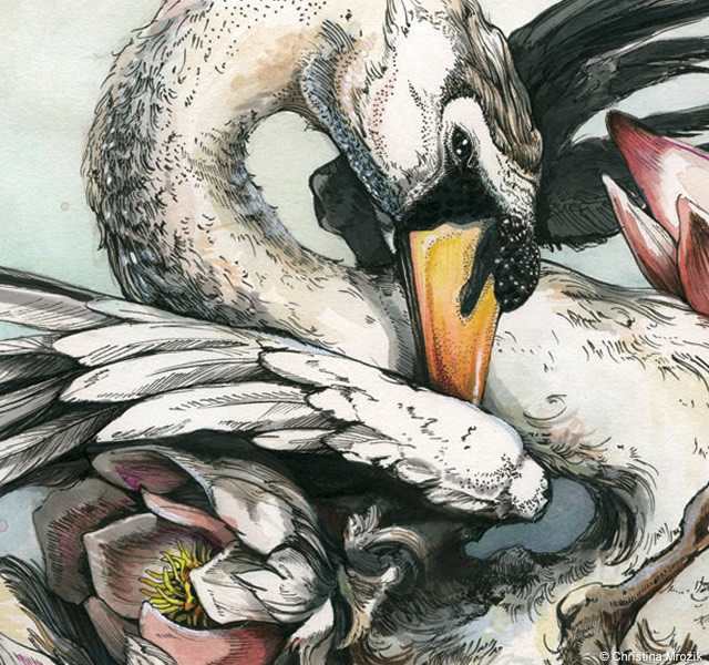 1o48 Drawings by Christina Mrozik