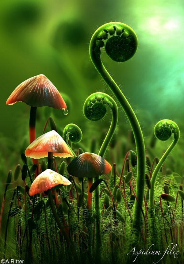 Awesome 3D Artworks By Axel Ritter 3d art work 11 Awesome 3D Artworks By Axel Ritter