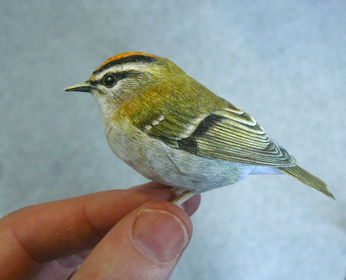 5dbird  Realistic Paper Birds by Johan Scherft
