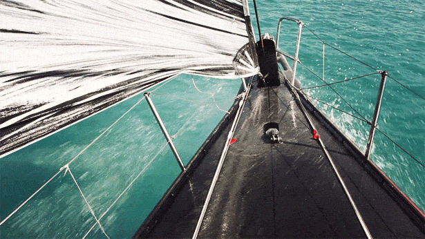 Amazing Cinemagraphs 6714158709 86a86c4dfe o Amazing Cinemagraphs