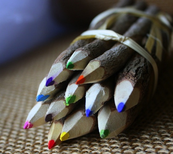 Branch And Twig Assorted Colored Pencils Branch Twig Assorted Colored Pencils Branch And Twig Assorted Colored Pencils