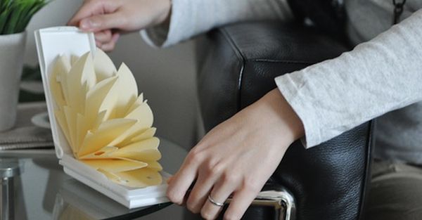 ‘Chokotto Oasis’ paper humidifier works without electricity Chokotto Oasis paper humidifier ‘Chokotto Oasis’ paper humidifier works without electricity
