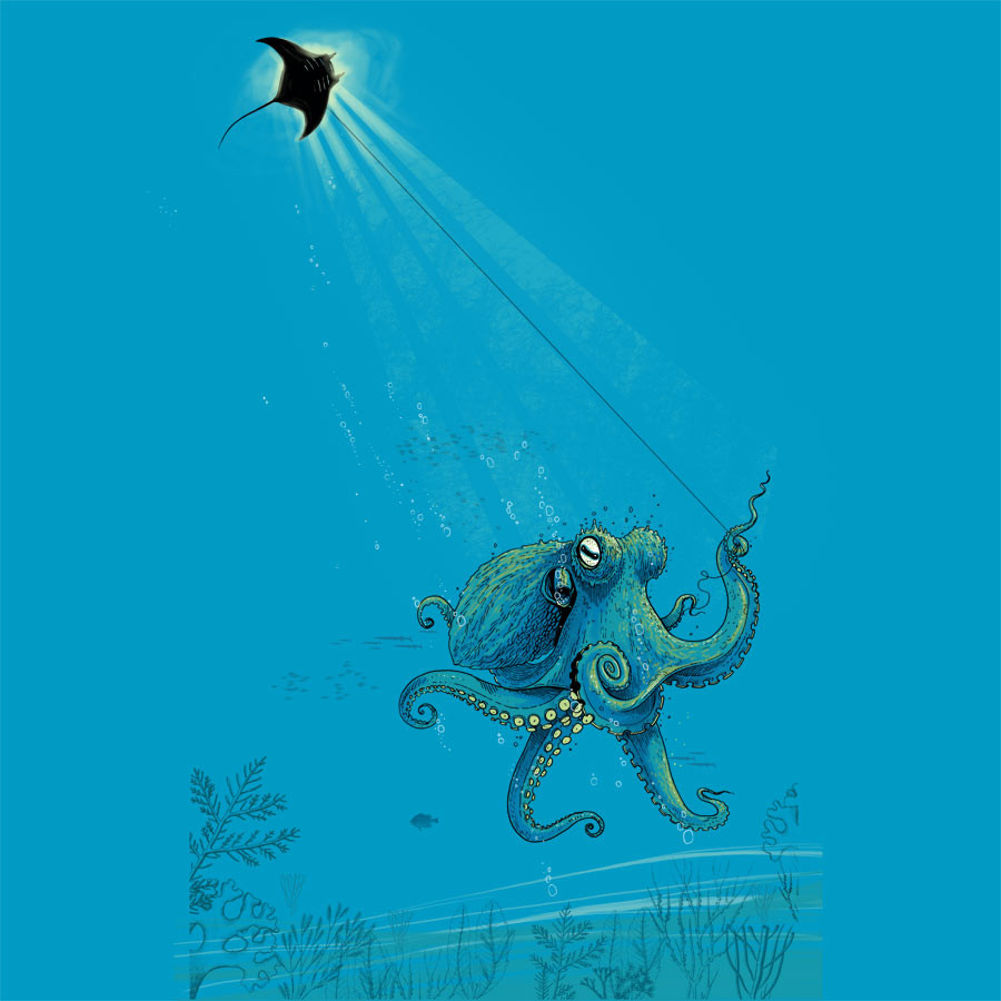 KiteManta design by oktopussapiens Daily Tee KiteManta custom t shirt design by oktopussapiens design KiteManta design by oktopussapiens