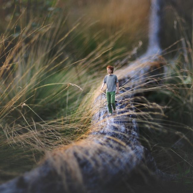 Photo Manipulations by Fiddle Oak Fiddle Oak3 650x650 Photo Manipulations by Fiddle Oak