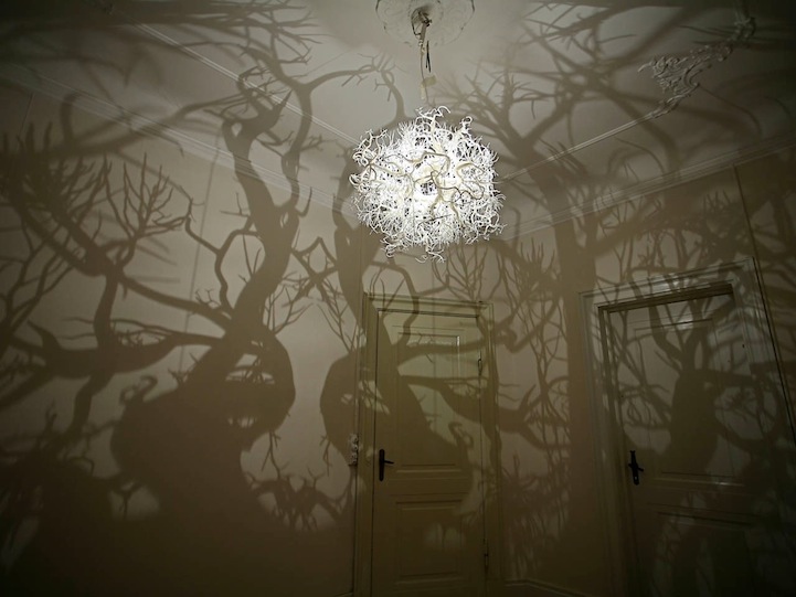 Chandelier Produces a Forest of Wild Tree Shadows FormsInNature1 Chandelier Produces a Forest of Wild Tree Shadows