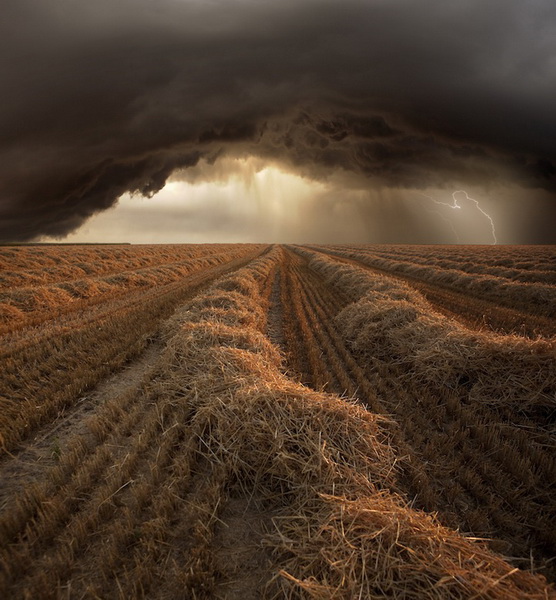 Storm Fields by Franz Schumacher Storm Fields by Franz Schumacher